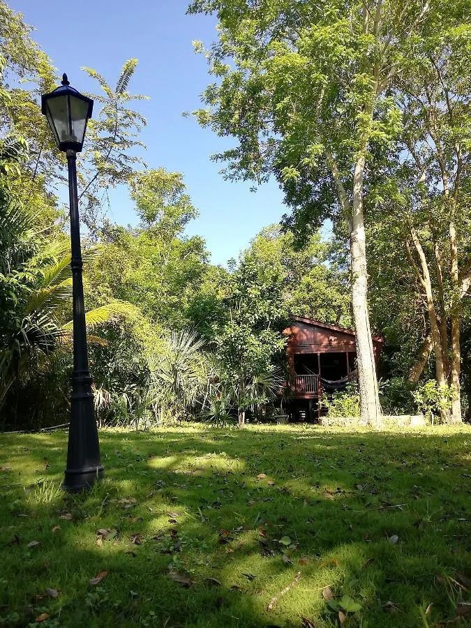 Casa Mesty location